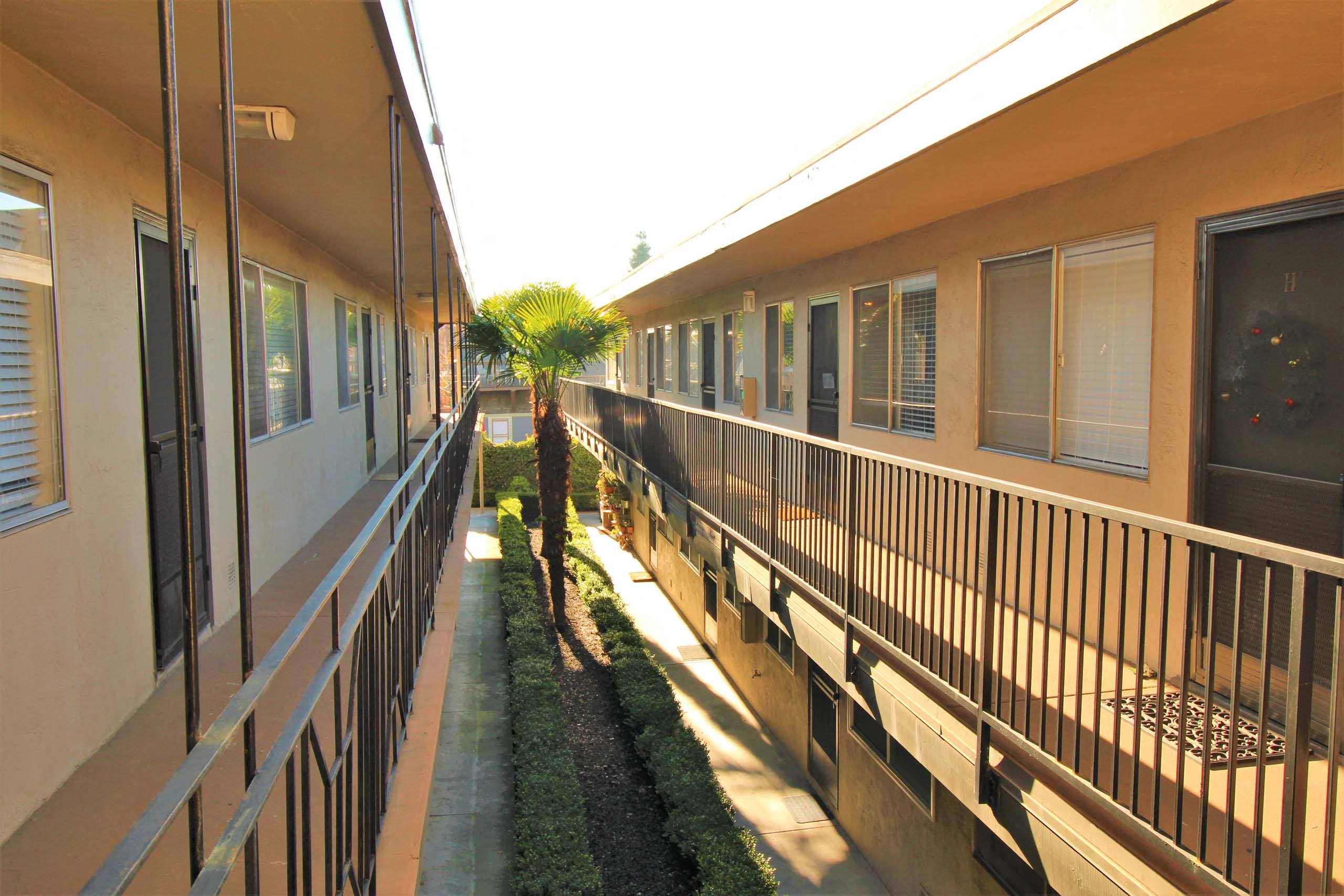 Monte Vista Apts photo 5